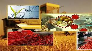 صنایع تبدیلی ضایعات را به ثروت تبدیل می‌کند