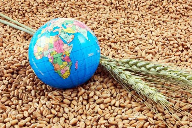  جهان در آستانه یک بحران غذایی است